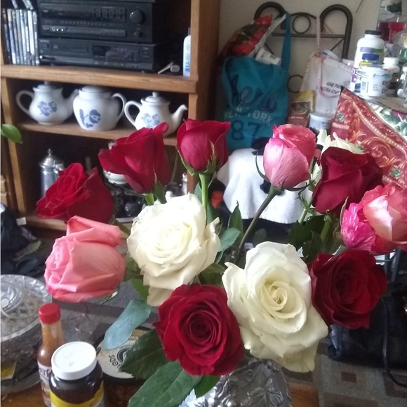 Meet your Posher, Francisca - Picture 1 of 1